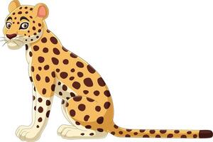 Cartoon leopard on white background vector