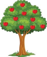 Cartoon apple tree isolated on white background vector