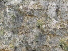 Stone texture outdoor video