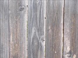 Wood texture outdoor video