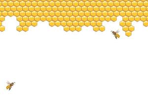 Bee hive, abstract honeycombs and bees on a white background. Illustration. vector