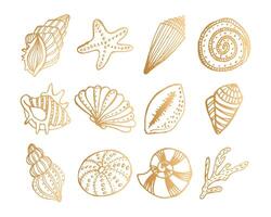 Set of hand-drawn contour seashells in golden tones. Design elements, print vector