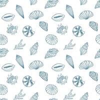 Seamless pattern, hand drawn contour seashells in pastel colors, Background, print, textile vector