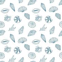 Seamless pattern, hand drawn contour seashells in pastel colors, Background, print, textile vector