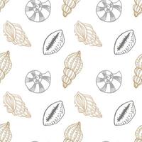 Seamless pattern, hand drawn contour seashells in pastel colors, Background, print, textile vector