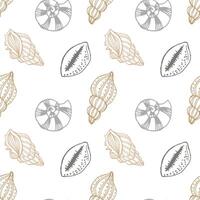 Seamless pattern, hand drawn contour seashells in pastel colors, Background, print, textile vector