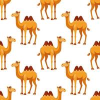 Seamless pattern with cute kawaii camels on a white background. Background for wrapping paper, wallpaper, cover. vector