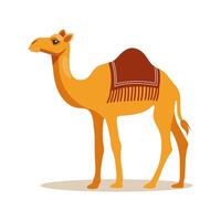 Cute dromedary camel on a white background. Children's illustration of an animal. vector