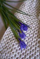 minimalist irises on the table spring mood photo