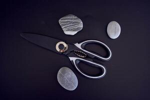 kitchen scissors in a protective case on a black background photo