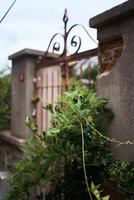 vintage rusty fence in front of an abandoned house in a mediterranean city photo