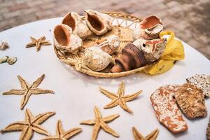 seashells and starfish on a white table on a summer day photo