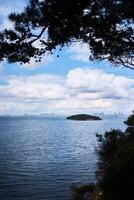 View of the bay and islands from Prince's Island in Istanbul photo