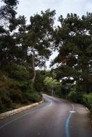 devanado la carretera mediante el arboles en del príncipe isla foto