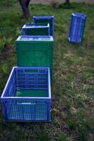 plastic boxes for vegetables lie on the grass photo