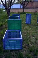 plastic boxes for vegetables lie on the grass photo