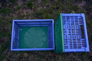 plastic boxes for vegetables lie on the grass photo