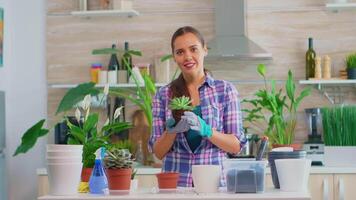 retrato do feliz mulher segurando suculento plantar sentado em a mesa dentro cozinha. mulher replantio flores dentro cerâmico Panela usando pá, luvas, fértil solo e flores para casa decoração. video