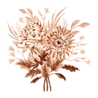 chrysant bloem boeket waterverf, monochroom, geïsoleerd Aan wit achtergrond. hand- getrokken botanisch illustratie bruin kleur. wijnoogst bloemen tekening sjabloon voor behang, textiel, scrapbooken. png