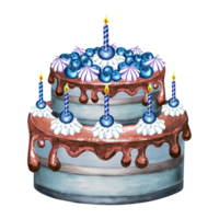 Cake with chocolate glaze, blueberries and candle. Watercolor illustrations for menu and packaging design, window dressing, printing on tableware and textiles, making stickers and embroidery png