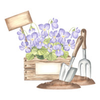 Violet flowers in crate with sign, butterfly, trowel and rake in soil. Gardening tools, supplies. Hand drawn watercolor illustration pansy, isolated composition. Template for card, packaging, sticker. png