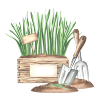 Greenery seedlings in crate with sign, trowel and rake in soil. Gardening tools, supplies and grass. Hand drawn watercolor illustration, isolated composition. Template for card, package, stickers. png