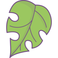 Tropical Leaf Monstera png