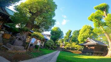 Nishimukai Tenjin Shrine, a shrine located in Shinjuku, Shinjuku-ku, Tokyo, Japan It is said to have been founded by Togao Akie Shonin in 1228, and because the shrine building faces west photo