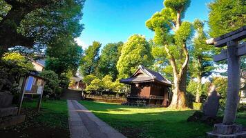 Nishimukai Tenjin Shrine, a shrine located in Shinjuku, Shinjuku-ku, Tokyo, Japan It is said to have been founded by Togao Akie Shonin in 1228, and because the shrine building faces west photo