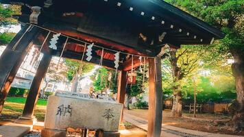 Nishimukai Tenjin Shrine, a shrine located in Shinjuku, Shinjuku-ku, Tokyo, Japan It is said to have been founded by Togao Akie Shonin in 1228, and because the shrine building faces west photo