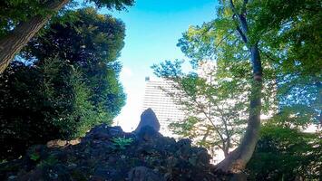 Nishimukai Tenjin Shrine, a shrine located in Shinjuku, Shinjuku-ku, Tokyo, Japan It is said to have been founded by Togao Akie Shonin in 1228, and because the shrine building faces west photo