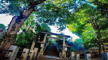 Nishimukai Tenjin Shrine, a shrine located in Shinjuku, Shinjuku-ku, Tokyo, Japan It is said to have been founded by Togao Akie Shonin in 1228, and because the shrine building faces west photo