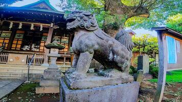 Nishimukai Tenjin Shrine, a shrine located in Shinjuku, Shinjuku-ku, Tokyo, Japan It is said to have been founded by Togao Akie Shonin in 1228, and because the shrine building faces west photo