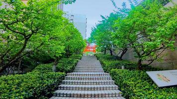 Ginsekai Inari Shrine is a shrine located in the corner of Shinjuku Park Tower, Nishi-Shinjuku, Shinjuku-ku, Tokyo, Japan. This whole area was the residence of a certain feudal lord during the Edo photo