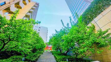 Ginsekai Inari Shrine is a shrine located in the corner of Shinjuku Park Tower, Nishi-Shinjuku, Shinjuku-ku, Tokyo, Japan. This whole area was the residence of a certain feudal lord during the Edo photo