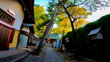 Hogima Hikawa Shrine is a shrine in Nishi-Hogima, Adachi-ku, Tokyo, Japan. Although the date of construction is not known, it is estimated to be before the Keicho era ,around 1596 photo