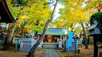 Hogima Hikawa Shrine is a shrine in Nishi-Hogima, Adachi-ku, Tokyo, Japan. Although the date of construction is not known, it is estimated to be before the Keicho era ,around 1596 photo