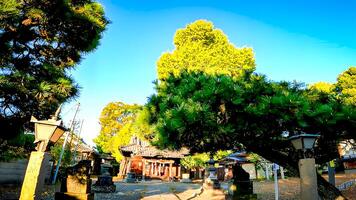 Rokugatsu Hachiman Shrine, a shrine in Rokugatsu, Adachi-ku, Tokyo, Japan. It was built during the 1053-1058 photo