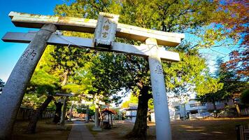 Rokugatsu Hachiman Shrine, a shrine in Rokugatsu, Adachi-ku, Tokyo, Japan. It was built during the 1053-1058 photo