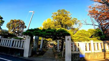 rokugatsu hachiman santuario, un santuario en rokugatsu, adachi-ku, tokio, Japón. eso estaba construido durante el 1053-1058 foto