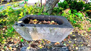 An old shrine's hand-watering basin that is no longer in use. In the old days, water was stored here to purify hands and mouth. photo