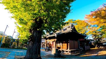 Rokugatsu Hachiman Shrine, a shrine in Rokugatsu, Adachi-ku, Tokyo, Japan. It was built during the 1053-1058 photo