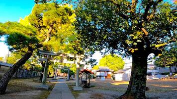 Rokugatsu Hachiman Shrine, a shrine in Rokugatsu, Adachi-ku, Tokyo, Japan. It was built during the 1053-1058 photo