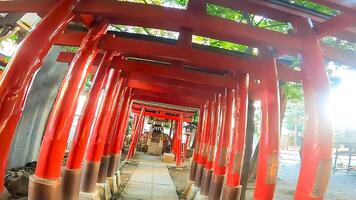 shinjuku, tokio, Japón. hanazono santuario, un santuario en pie en el medio de el ciudad. eso existió en 1590, el año tokugawa ieyasu ingresó tokio foto