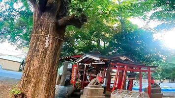 shinjuku, tokio, Japón. hanazono santuario, un santuario en pie en el medio de el ciudad. eso existió en 1590, el año tokugawa ieyasu ingresó tokio foto