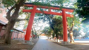 shinjuku, tokio, Japón. hanazono santuario, un santuario en pie en el medio de el ciudad. eso existió en 1590, el año tokugawa ieyasu ingresó tokio foto