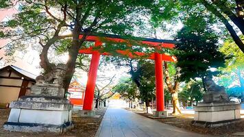 shinjuku, tokio, Japón. hanazono santuario, un santuario en pie en el medio de el ciudad. eso existió en 1590, el año tokugawa ieyasu ingresó tokio foto