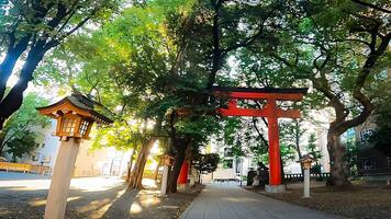 shinjuku, tokio, Japón. hanazono santuario, un santuario en pie en el medio de el ciudad. eso existió en 1590, el año tokugawa ieyasu ingresó tokio foto