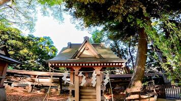 hiratsuka santuario, un santuario en kaminakazato, kita-ku, tokio, Japón. eso tiene estado consagrando hachiman taro minamoto No yoshie, un héroe de el tarde heian período, y su dos mas joven hermanos ya que 1118. foto