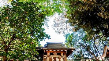 Hiratsuka Shrine, a shrine in Kaminakazato, Kita-ku, Tokyo, Japan. It has been enshrining Hachiman Taro Minamoto no Yoshiie, a hero of the late Heian period, and his two younger brothers since 1118. photo